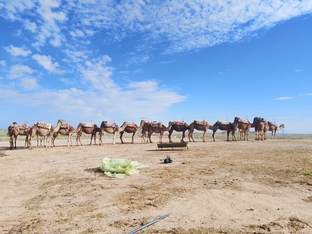 Agafay Desert vs. Sahara Desert: Which Should You Visit from Marrakech?